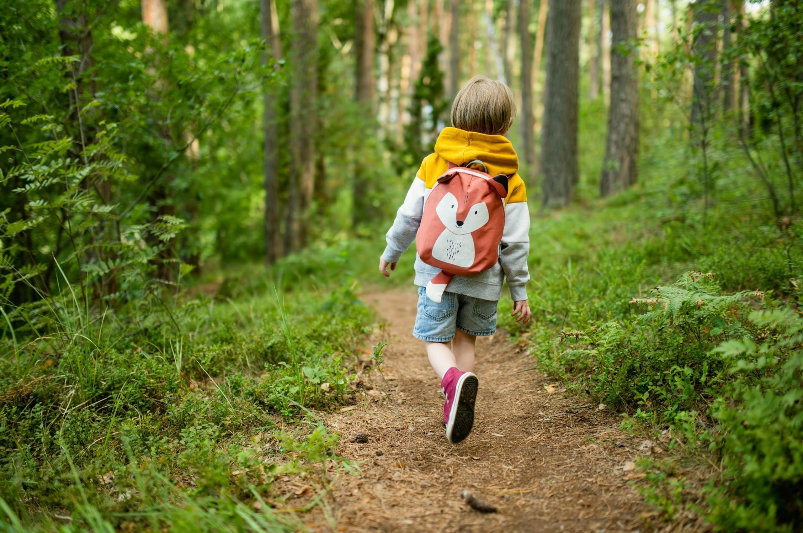 A child following a path through a wood.