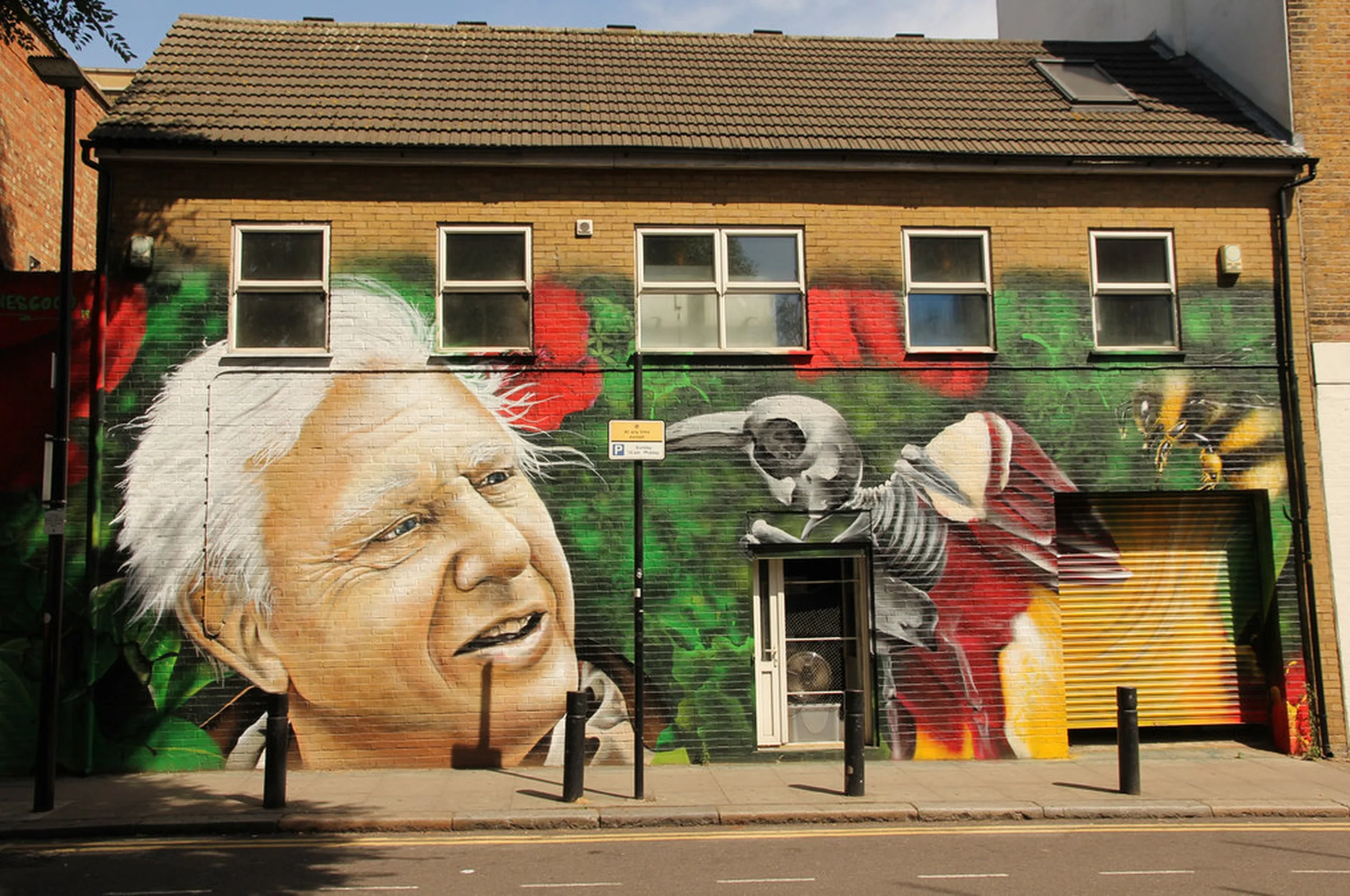 5 life lessons from Sir David Attenborough