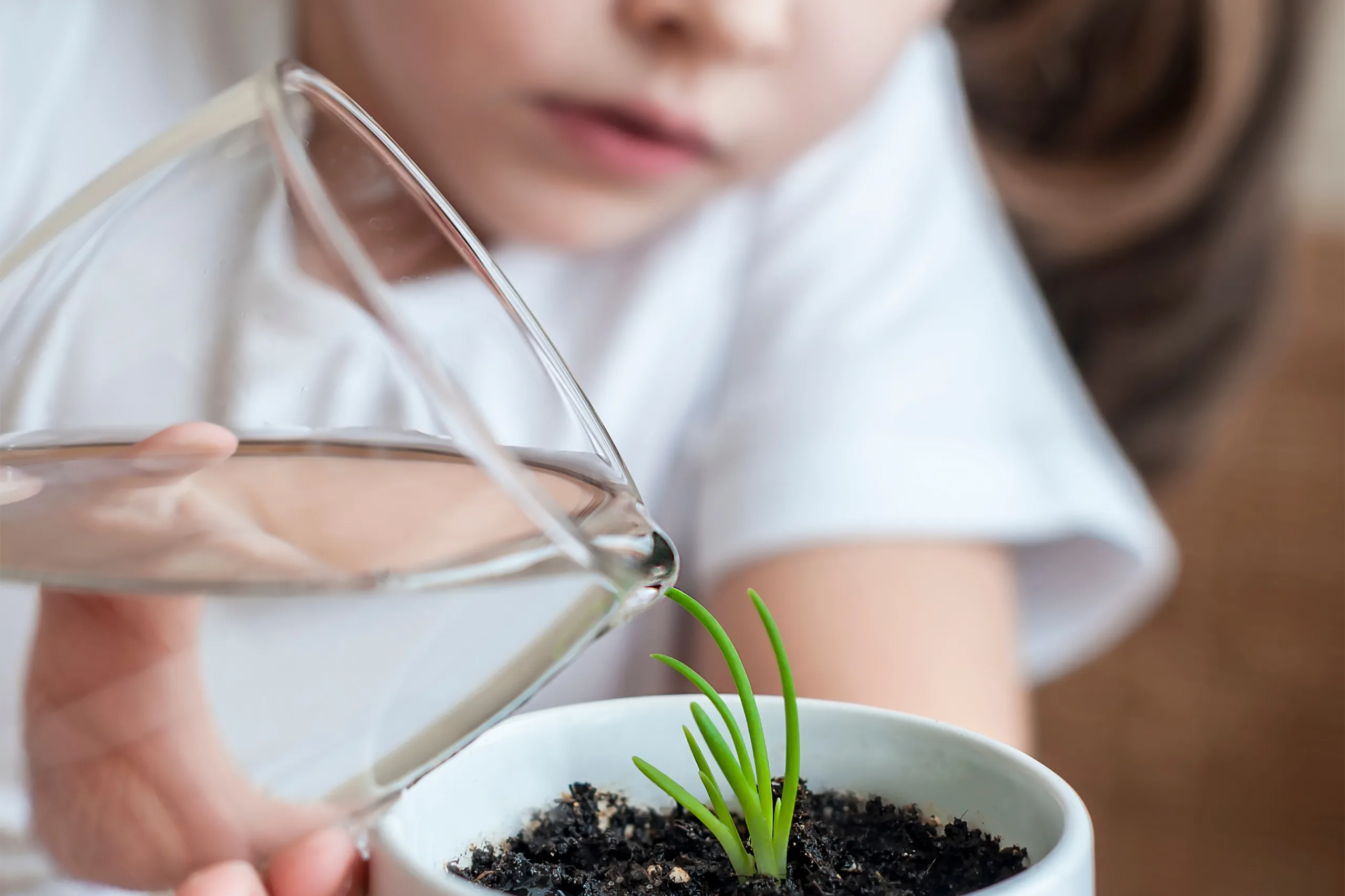 How to identify the ESG investment opportunities that are right for you