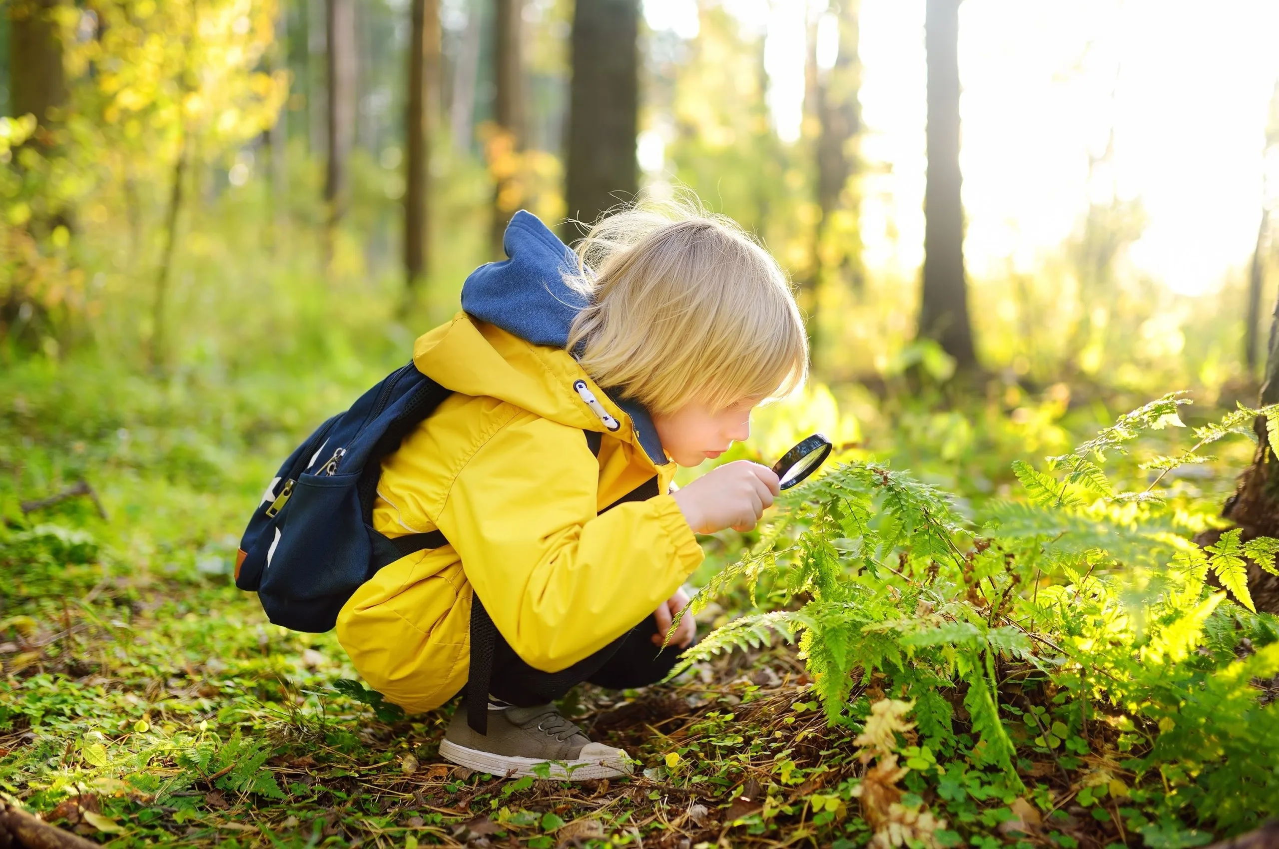 How to join the pension treasure hunt and discover “lost” savings