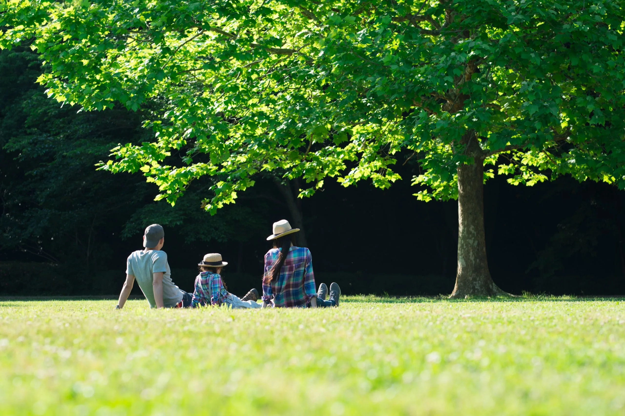 How has Covid-19 affected ESG investing? Signs suggest it could become mainstream