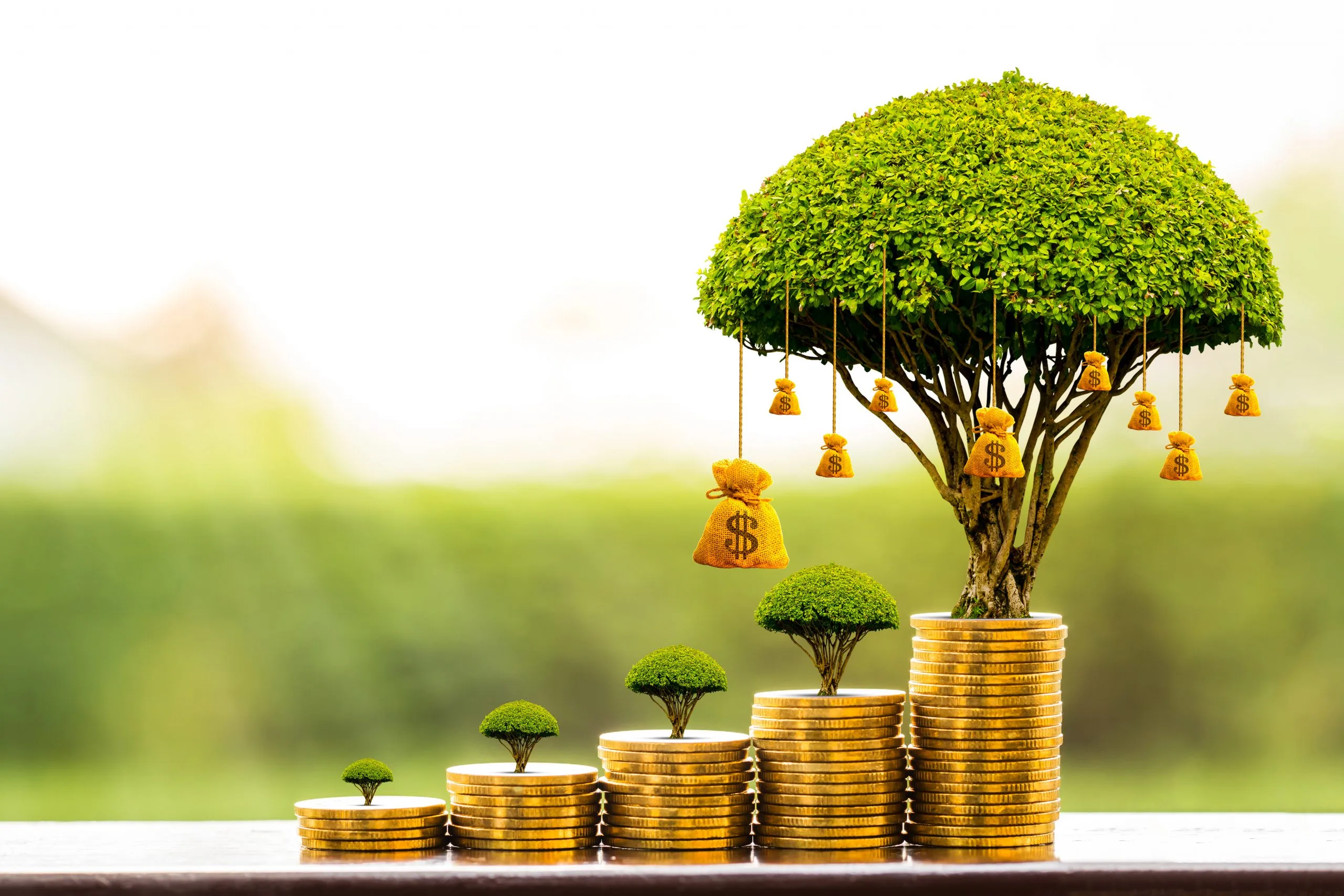 Why on earth do I need a financial planner?