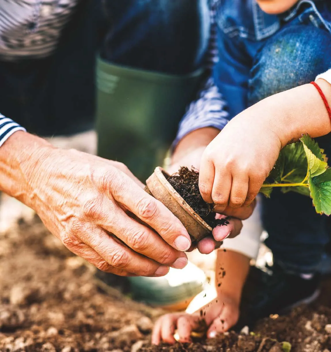 Intergenerational Wealth Planning