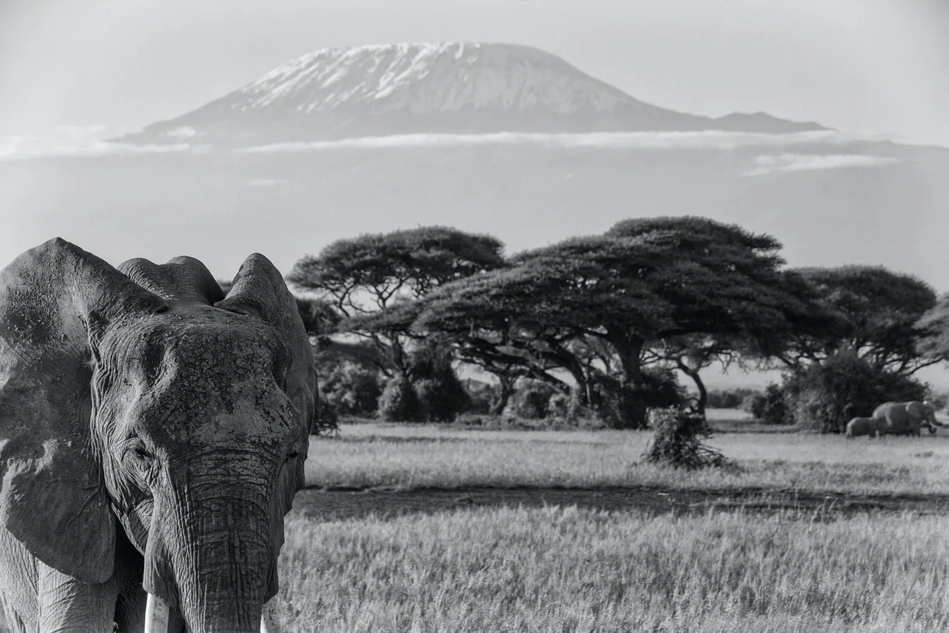 Kilimanjaro and bucket lists