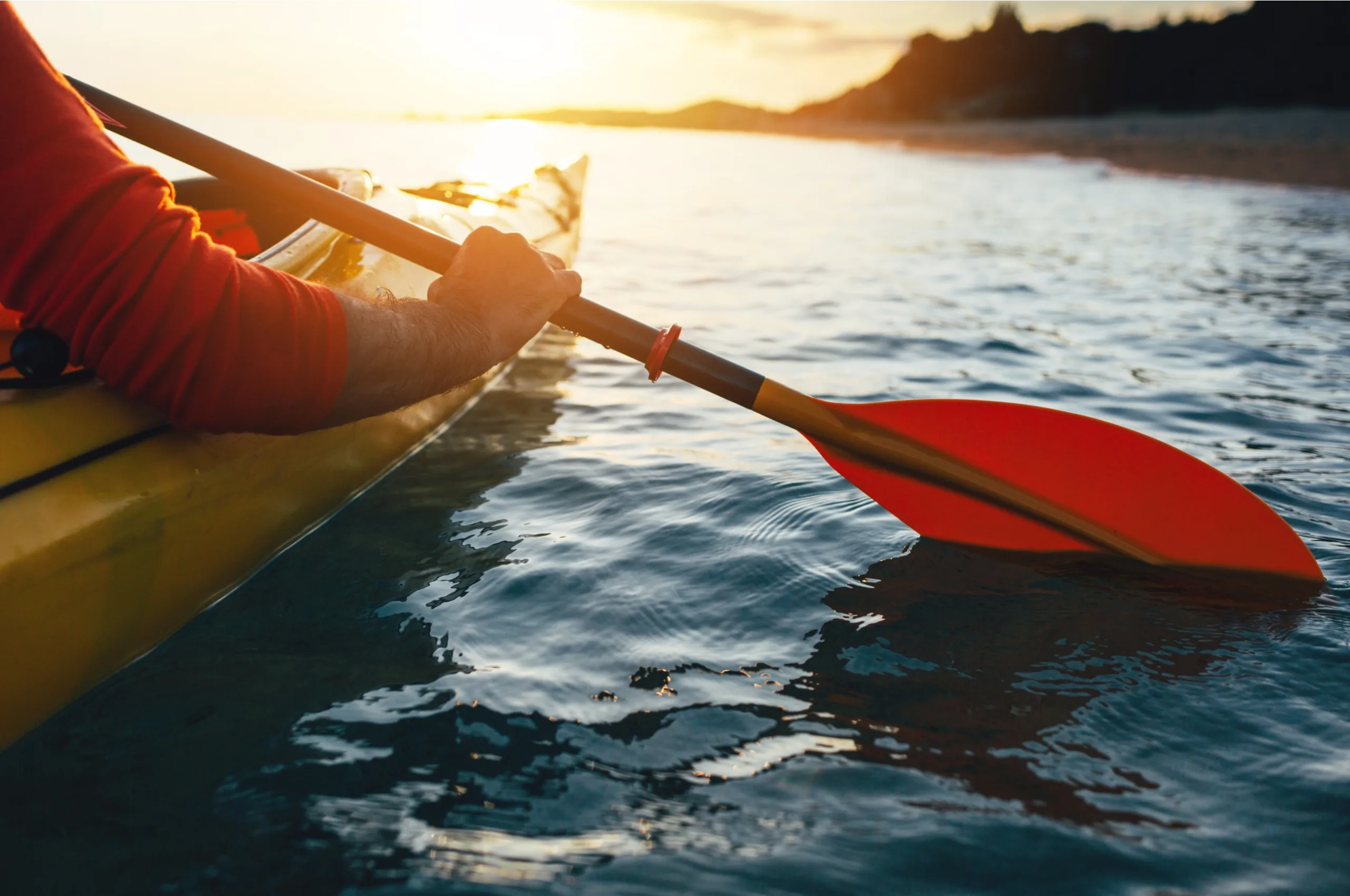 Guide: Behavioural biases, and how they affect your financial decisions