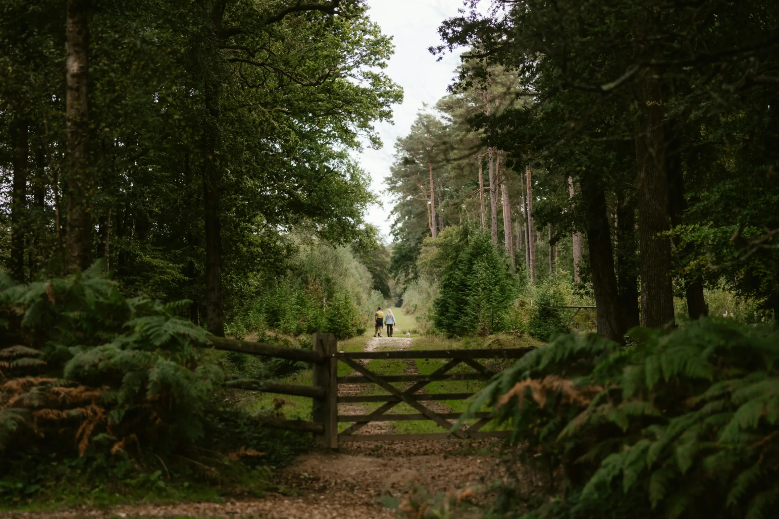 Guide: Everything you need to know about annuities when creating a retirement income