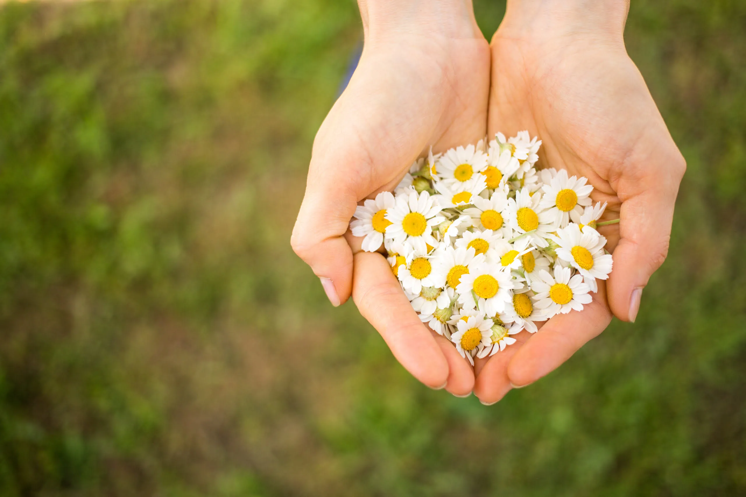 Inheritance Tax and gifting guide