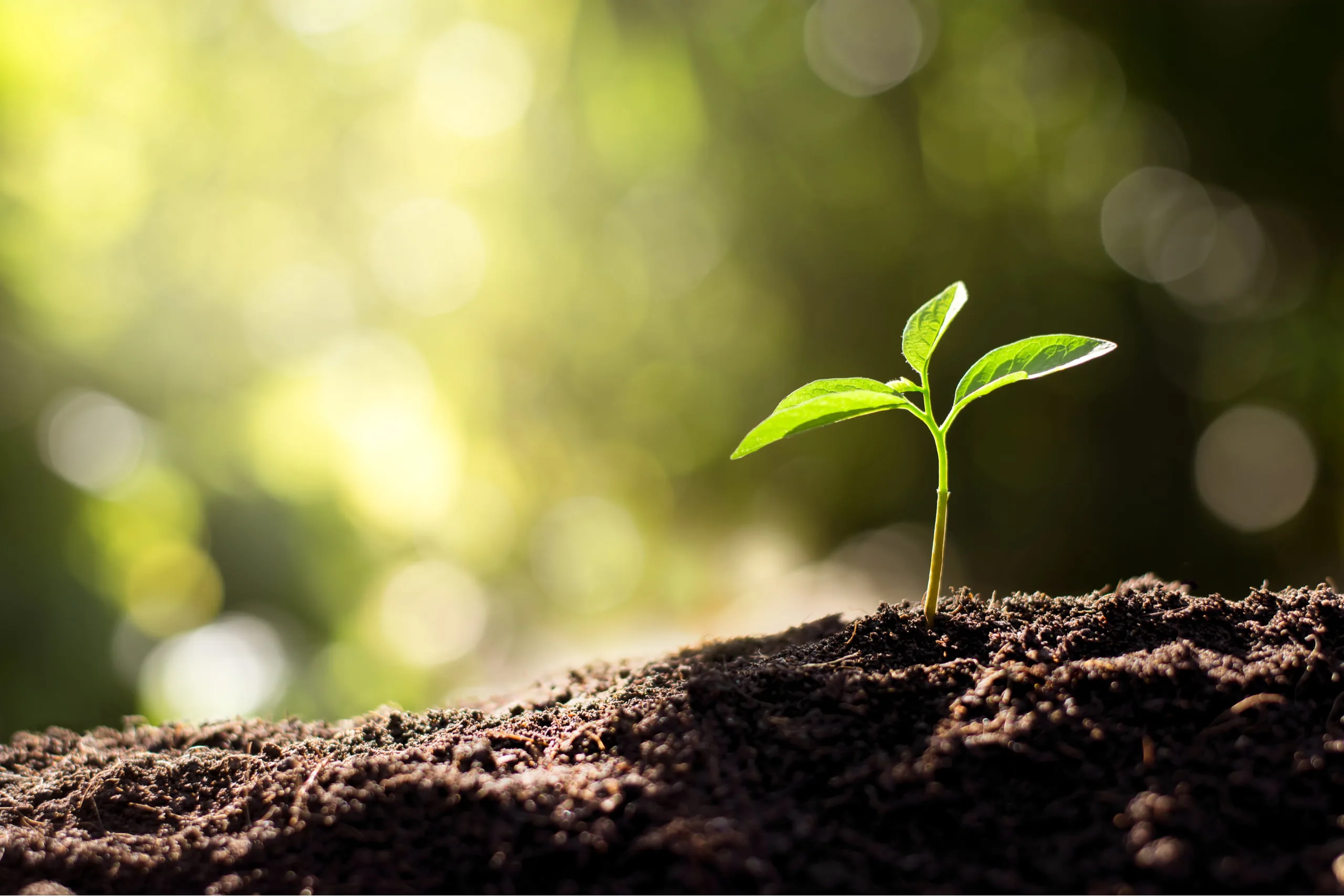 Guide to ESG investing